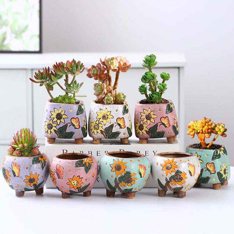 한국 스타일 해바라기 패턴 다육 식물 냄비 구멍이있는  - Echeveria Succulent 리뷰 및 가격