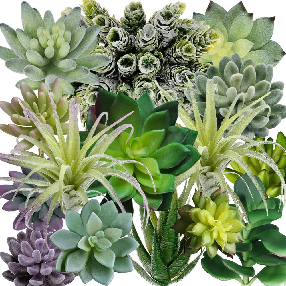 15팩 모듬 인조 다육식물 화분 없는 가짜 선인장 질감 - Echeveria Succulent 리뷰 및 가격