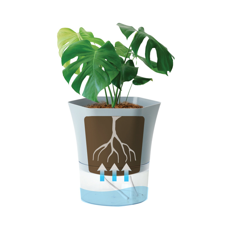 투명 플라스틱 자체 급수 식물 냄비 즙이 많은 식물 화 - Aloe Vera Pot 리뷰 및 가격