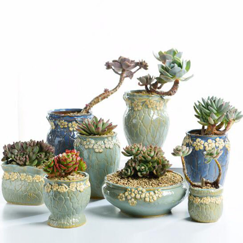 다육 식물 화분 중소형 꽃병 레트로 꽃 화분 크리에이티 - Echeveria Succulent 리뷰 및 가격