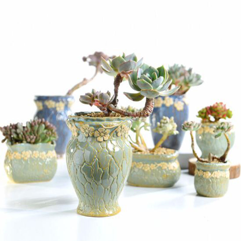 다육 식물 화분 중소형 꽃병 레트로 꽃 화분 크리에이티 - Echeveria Succulent 리뷰 및 가격